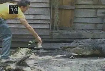 Jackass - Full Collection (1-3 Seasons)