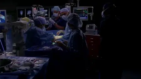 Grey's Anatomy S07E11