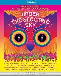 Under the Electric Sky (2014)