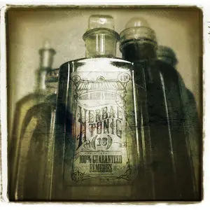 The Herbaliser - Herbal Tonic (2010)