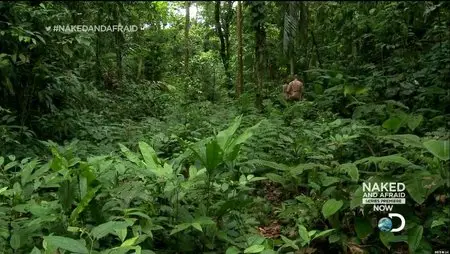 Naked and Afraid S01E01-E07 (2013)