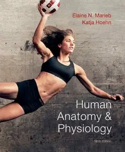 Human Anatomy & Physiology (9th edition) (Repost)