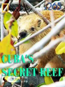 National Geographic: Cuba's Secret Reef (2015)
