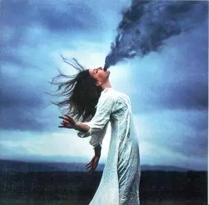 Spoke Of Shadows - II (2017)