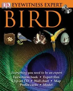 Eyewitness Experts: Bird (repost)