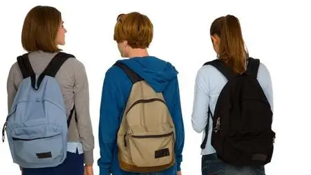 Behavioral Science For Bullying Prevention In The Classroom