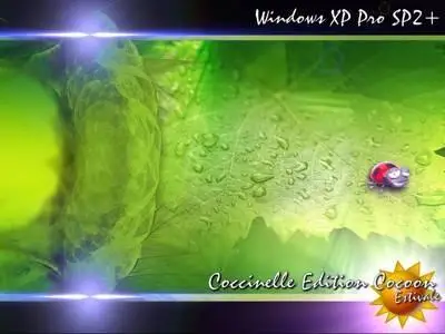 Win XP Pro SP2 Coccinelle Cocoon Estivale FR Version CORPORATE