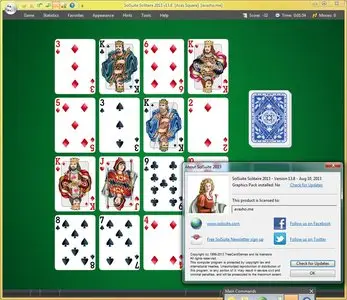 SolSuite Solitaire 2013 13.8