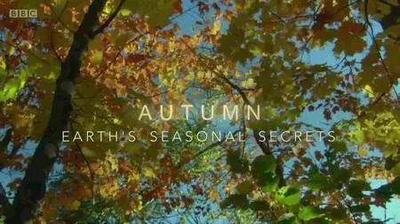 BBC - Autumn: Earth's Seasonal Secrets (2016)