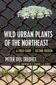 Wild Urban Plants of the Northeast : A Field Guide, 2nd Edition