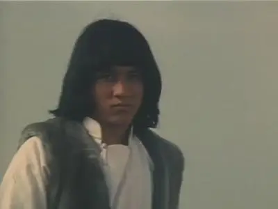 Snake And Crane Arts Of Shaolin (1978) 