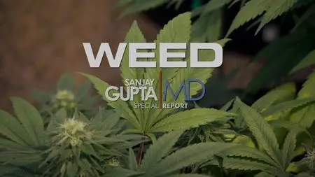 CNN: Weed: Sanjay Gupta Reports (2013) [repost]