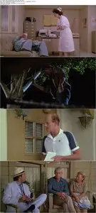 Fletch (1985)