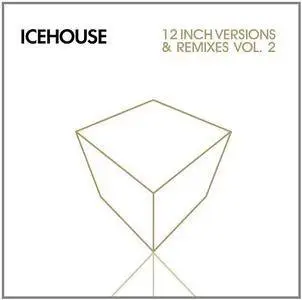 Icehouse - 12 Inch Versions & Remixes Vol. 2 (2013)