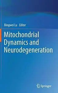 Mitochondrial Dynamics and Neurodegeneration