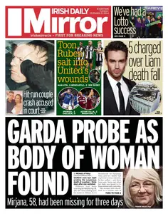 Irish Daily Mirror - 31 December 2024