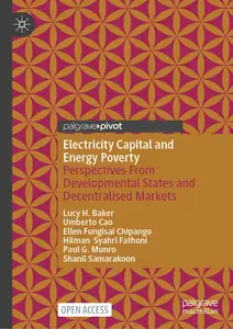 Electricity Capital and Energy Poverty: Perspectives From Developmental States and Decentralised Markets