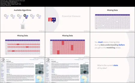 Predictive Analytics Essential Training: Data Mining