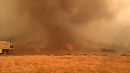 After the Wildfires (2020)