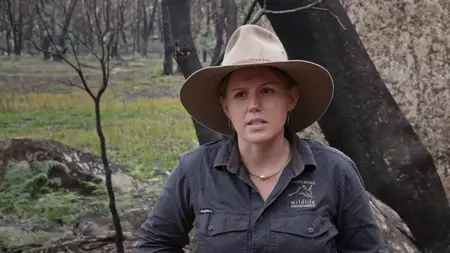 After the Wildfires (2020)