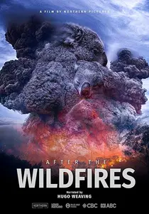 After the Wildfires (2020)