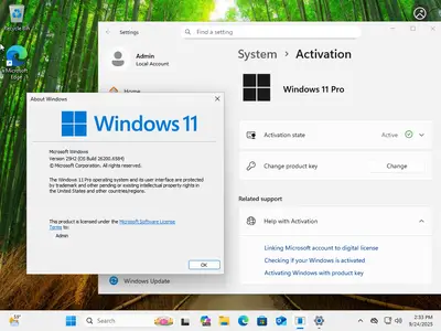 Windows 11 Pro 25H2 Build 26200.6584 (No TPM Required) Preactivated
