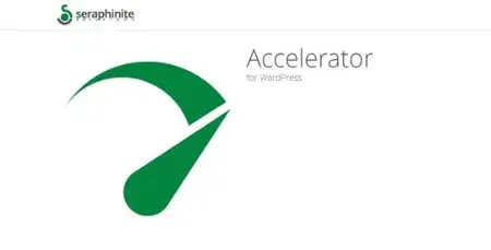 Seraphinite Accelerator v2.29.6