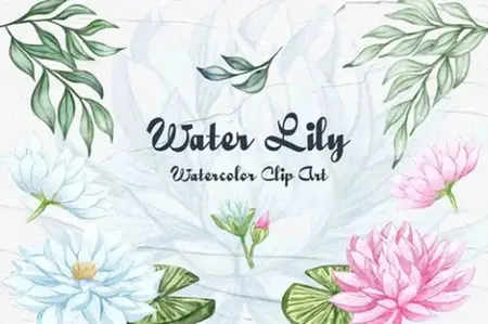 Envato - Water Lily Clipart - G8VPEVA