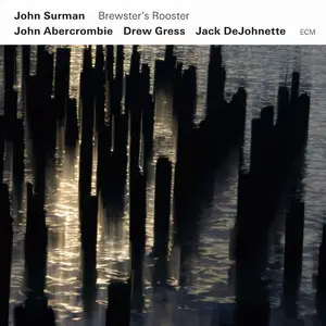 John Surman - Brewster's Rooster (2009)