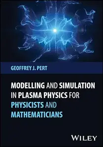 Modelling and Simulation in Plasma Physics for Physicists and Mathematicians