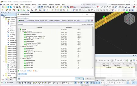 Dlubal RFEM 6.04 (0011)