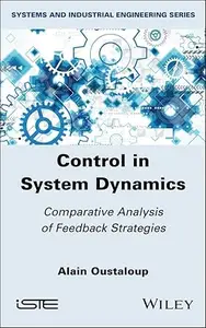 Control in System Dynamics