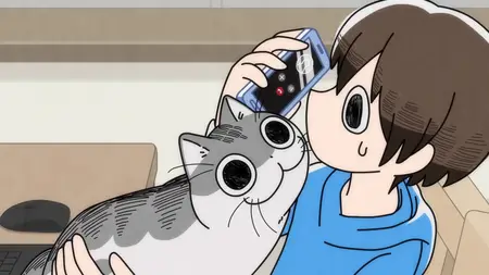 Nights With a Cat - S01E62 - Night 62 A Cat On the Other End of the Line