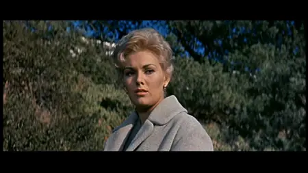 Strangers When We Meet (1960) [MultiSubs]