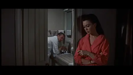 Strangers When We Meet (1960) [MultiSubs]