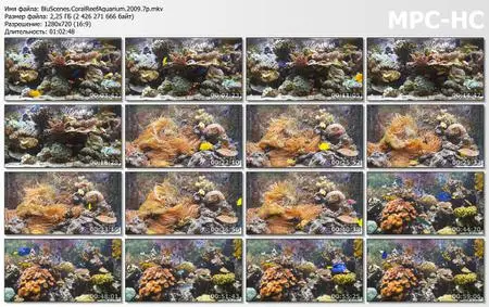 BluScenes: Coral Reef Aquarium (2009)