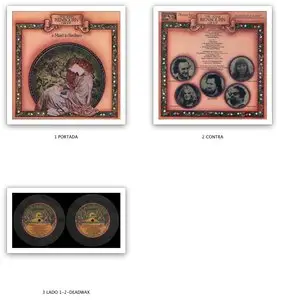 The John Renbourn Group - A Maid In Bedlam (1977) US 1st Pressing - LP/FLAC In 24bit/96kHz