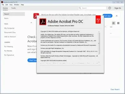 Adobe Acrobat Pro DC 2019.010.20064 Multilingual