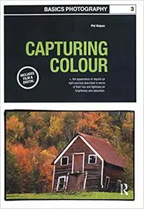 Capturing Colour: 3 (Basics Photography)