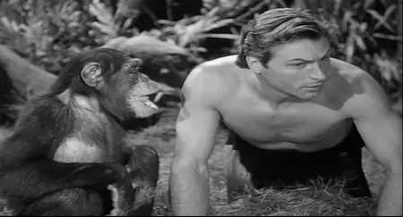 Tarzan’s Peril (1951)