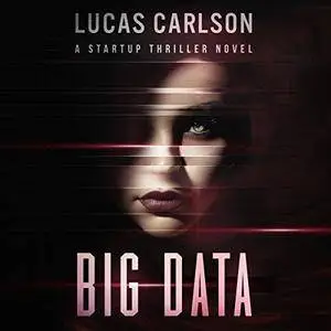 Big Data: A Startup Thriller Novel [Audiobook]