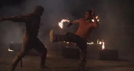 Ninja: Shadow of a Tear (2013)