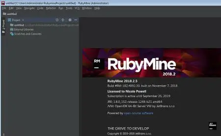 JetBrains RubyMine 2018.2.5 (Win/Mac)
