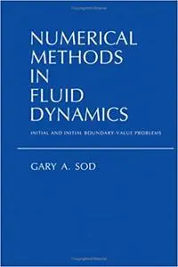 Numerical Methods in Fluid Dynamics: Initial and Initial Boundary-Value Problems