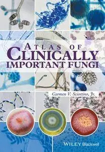 Atlas of Clinically Important Fungi