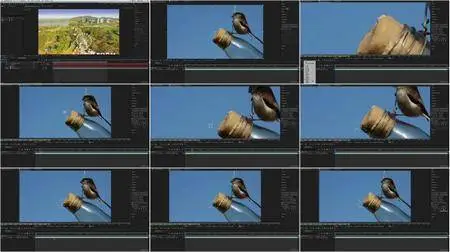 After Effects CC: The Complete Guide to After Effects CC