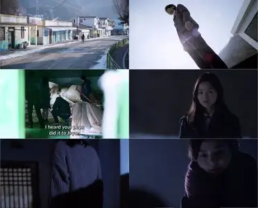 Steel Cold Winter (2013)