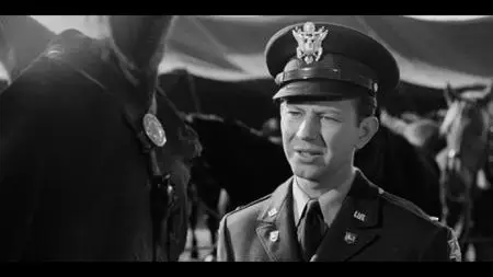 Francis in the Navy (1955)