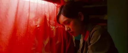 Youth (Fang Hua) (2017)