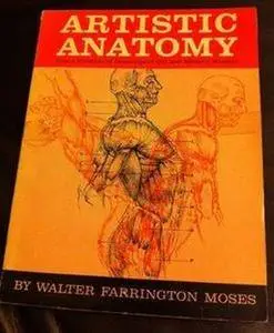 Artistic Anatomy (Repost)